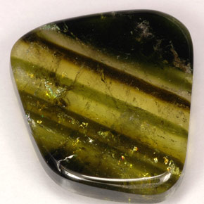 9.21캐럿 천연 멀티컬러 투르말린, 투명한, 17.9×16.1 mm, 투명/반투명