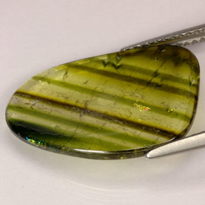 4.72캐럿 천연 멀티컬러 투르말린, 투명한, 19.2×13.7 mm, 투명/반투명