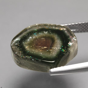 10.79캐럿 천연 멀티컬러 투르말린, 투명한, 15.5×15.1 mm, 투명/반투명