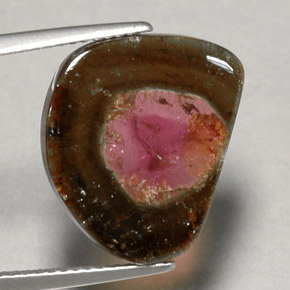 6.79캐럿 천연 멀티컬러 투르말린, 투명한, 16.5×13.5 mm, 투명/반투명