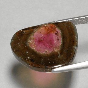 6.79캐럿 천연 멀티컬러 투르말린, 투명한, 16.5×13.5 mm, 투명/반투명