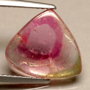 3.30캐럿 천연 바이컬러 투르말린, 투명한, 13.2×11.6 mm, 투명/반투명
