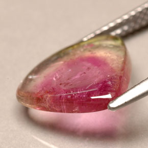 3.30캐럿 천연 바이컬러 투르말린, 투명한, 13.2×11.6 mm, 투명/반투명