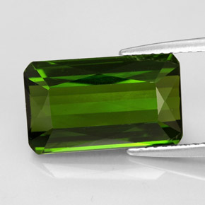5.57캐럿 천연 포레스트 그린 투르말린, 에메랄드 컷, 14.2×8.4 mm, VVS