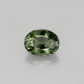 1.01캐럿 천연 그린 투르말린, 타원형 컷, 7×5.3 mm, VS