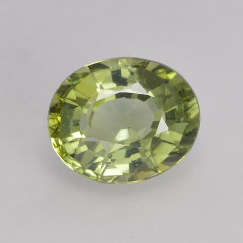 0.79캐럿 천연 라이트 포레스트 그린 투르말린, 타원형 컷, 6.3×5.2 mm, VVS