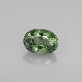 1.06캐럿 천연 그린 투르말린, 타원형 컷, 7.2×5.2 mm, VVS
