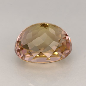 3.91캐럿 천연 멀티컬러 투르말린, 타원형 컷, 9.9×8.3 mm, IF