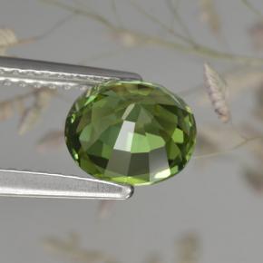 1.50캐럿 천연 그린 투르말린, 타원형 컷, 7.4×6.5 mm, VVS-VS