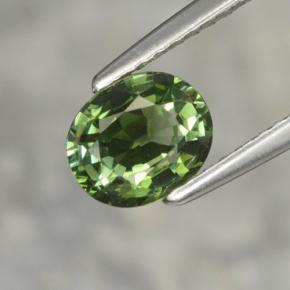 1.02캐럿 천연 포레스트 그린 투르말린, 타원형 컷, 7×5.8 mm, VVS