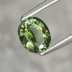 1.02캐럿 천연 포레스트 그린 투르말린, 타원형 컷, 7×5.8 mm, VVS