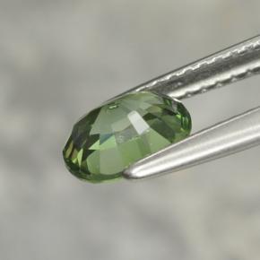 1.02캐럿 천연 포레스트 그린 투르말린, 타원형 컷, 7×5.8 mm, VVS