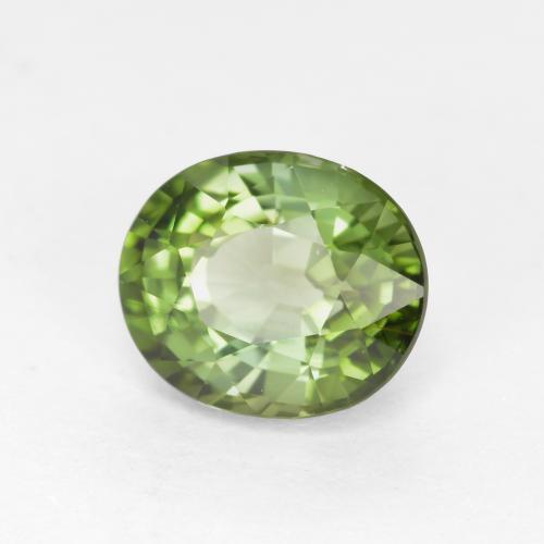 1.28캐럿 천연 딥 그린 투르말린, 타원형 컷, 7.1×5.9 mm, VVS-VS