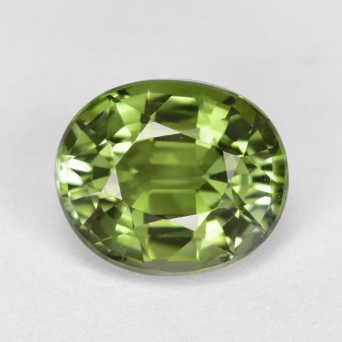 1.27캐럿 천연 포레스트 그린 투르말린, 타원형 컷, 7.3×6.1 mm, VVS