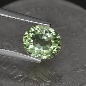 1.00캐럿 천연 라이트 세이지 그린 투르말린, 타원형 컷, 6.7×5.8 mm, VVS