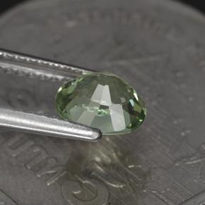 1.00캐럿 천연 라이트 세이지 그린 투르말린, 타원형 컷, 6.7×5.8 mm, VVS