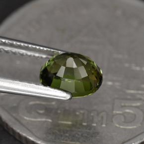 1.23캐럿 천연 딥 그린 투르말린, 타원형 컷, 6.9×5.8 mm, VVS