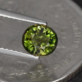 1.05캐럿 천연 그린 투르말린, 타원형 컷, 6.5×5.8 mm, VS
