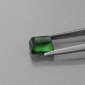 1.46캐럿 천연 그린 투르말린, 투명한, 6.4×6.1 mm, 투명/반투명