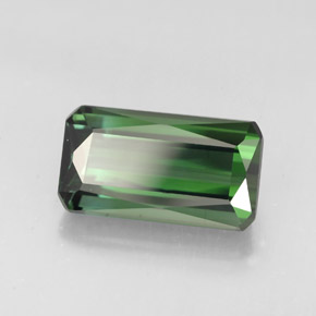2.82캐럿 천연 푸르스름한 그린 투르말린, 에메랄드 컷, 11.1×6.1 mm, VVS