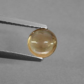 0.74캐럿 천연 골든 투르말린, 투명한, 5.53 mm, 투명/반투명