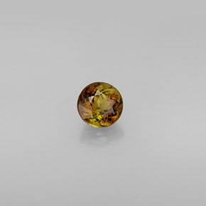 0.61캐럿 천연 멀티컬러 투르말린, 라운드 컷, 5.07 mm, VVS