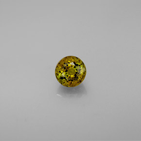 0.62캐럿 천연 멀티컬러 투르말린, 라운드 컷, 4.94 mm, VVS