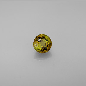 0.62캐럿 천연 멀티컬러 투르말린, 라운드 컷, 4.94 mm, VVS