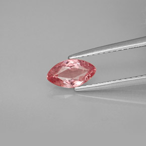 0.70캐럿 천연 로즈 투르말린, 마퀴즈, 7.9×4.5 mm, VS-SI