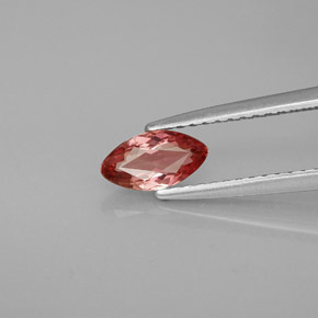 0.48캐럿 천연 레드 로즈 투르말린, 마퀴즈, 7.6×4 mm, VVS-VS
