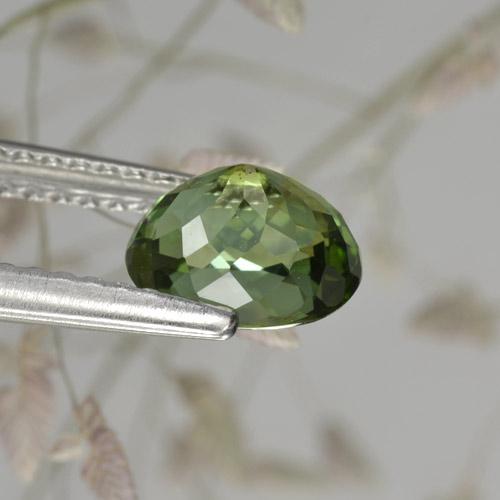 1.17캐럿 천연 포레스트 그린 투르말린, 타원형 컷, 7×5.7 mm, VVS-VS
