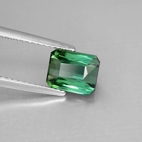 1.64캐럿 천연 블루 그린 투르말린, 에메랄드 컷, 7.4×6 mm, VVS