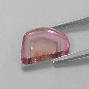 2.74캐럿 천연 워터멜론 투르말린, 투명한, 12.5×11.2 mm, 투명/반투명