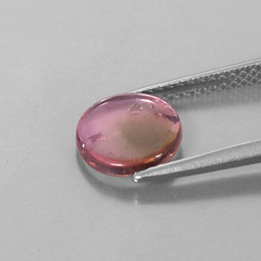 1.55캐럿 천연 바이컬러 투르말린, 멋진 모양, 8.5×8.5 mm, 투명한
