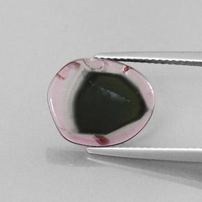 3.22캐럿 천연 바이컬러 투르말린, 멋진 모양, 13×10.8 mm, 투명한
