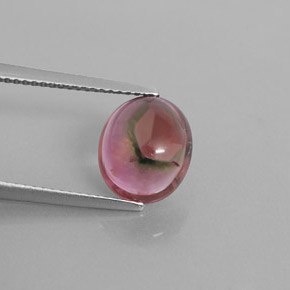3.33캐럿 천연 멀티컬러 투르말린, 투명한, 10.4×8.9 mm, 투명/반투명