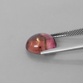 3.33캐럿 천연 멀티컬러 투르말린, 투명한, 10.4×8.9 mm, 투명/반투명