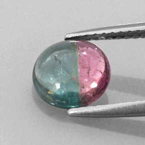 1.46캐럿 천연 워터멜론 투르말린, 라운드 컷, 7.88 mm, 투명한