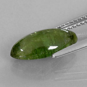 2.52캐럿 천연 그린 투르말린, 투명한, 13.1×7 mm, 투명/반투명