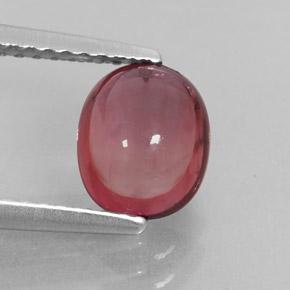 1.48캐럿 천연 핑크빛 로즈 투르말린, 투명한, 7.7×6.4 mm, 투명/반투명