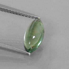 1.25캐럿 천연 블루 그린 투르말린, 투명한, 10.1×5.1 mm, 투명/반투명