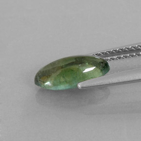 1.25캐럿 천연 블루 그린 투르말린, 투명한, 10.1×5.1 mm, 투명/반투명