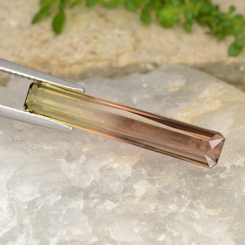 4.87캐럿 천연 바이컬러 투르말린, 에메랄드 컷, 25.6×4.6 mm, VVS-VS