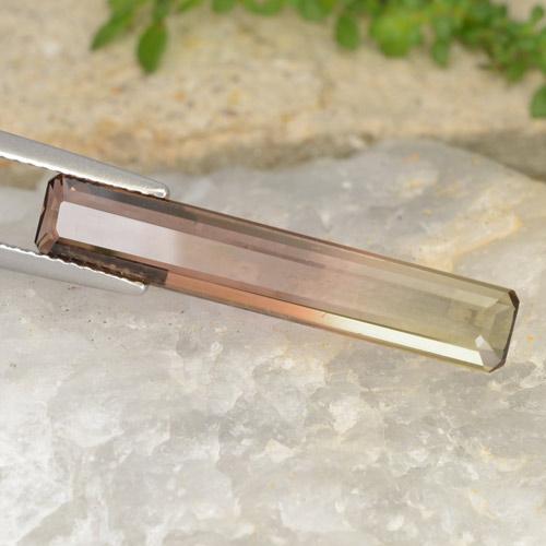 4.63캐럿 천연 바이컬러 투르말린, 에메랄드 컷, 26.8×4.9 mm, VVS-VS