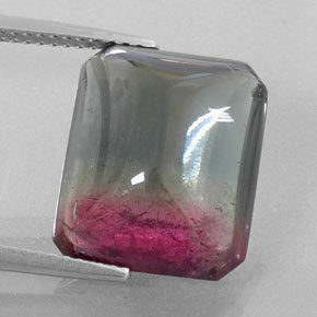 12.38캐럿 천연 바이컬러 투르말린, 투명한, 14.7×12.5 mm, 투명/반투명