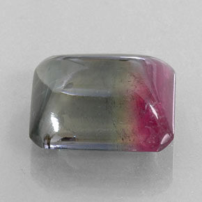 12.38캐럿 천연 바이컬러 투르말린, 투명한, 14.7×12.5 mm, 투명/반투명