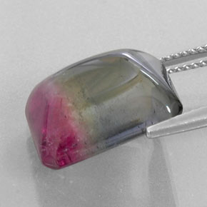 12.38캐럿 천연 바이컬러 투르말린, 투명한, 14.7×12.5 mm, 투명/반투명