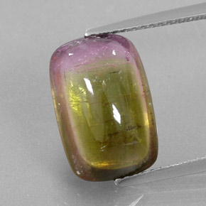 6.64캐럿 천연 바이컬러 투르말린, 투명한, 14×9.4 mm, 투명/반투명