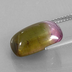 6.64캐럿 천연 바이컬러 투르말린, 투명한, 14×9.4 mm, 투명/반투명