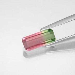 0.77캐럿 천연 바이컬러 투르말린, 에메랄드 컷, 8.9×3.9 mm, VS-SI